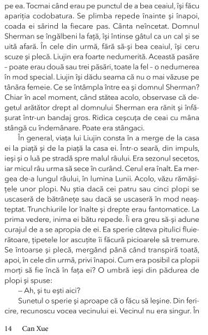 Frontiera de Can Xue [7]