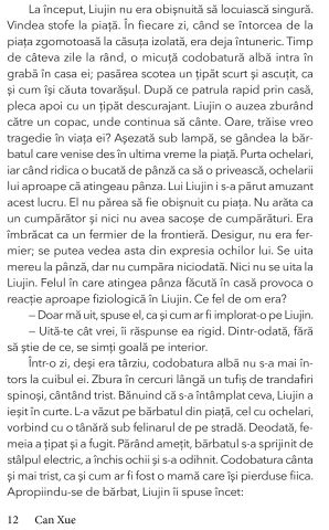 Frontiera de Can Xue [5]