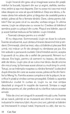 Frontiera de Can Xue [3]