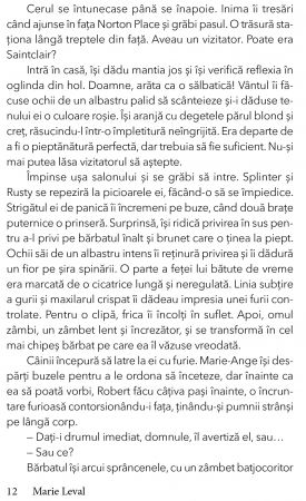 Ingerul comorii pierdute de Marie Laval [6]