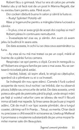 Ingerul comorii pierdute de Marie Laval [5]