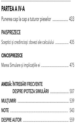 Ipoteza simularii de Rizwan Virk [3]