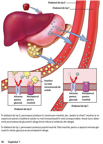 Mayo Clinic. Cartea esentiala despre diabetul zaharat de M. Regina Castro, M.D [10]