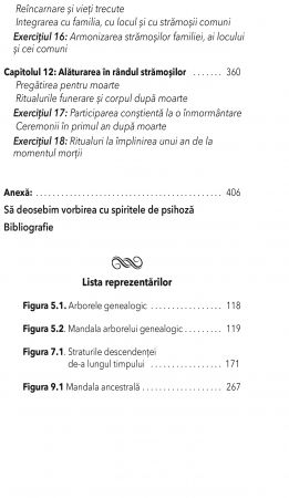 Medicina Ancestrala de Daniel Foor, Ph. D [6]