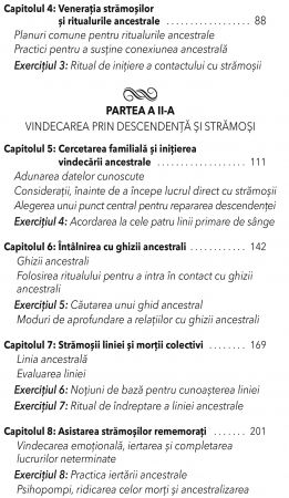 Medicina Ancestrala de Daniel Foor, Ph. D [4]