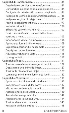 Meditatii Moderne de Murray du Plessis [2]