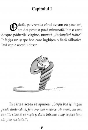 Micul print de Antoine de Saint-Exupery [5]