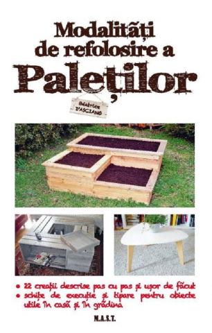 Hobby Practic - Modalitati de refolosire a paletilor de Beatrice D'Asciano