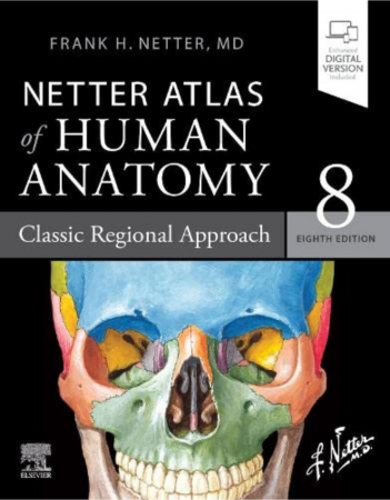 Medicina & Farmacie - Netter 8, Atlas of Human Anatomy: Classic Regional Approach de Frank H. Netter