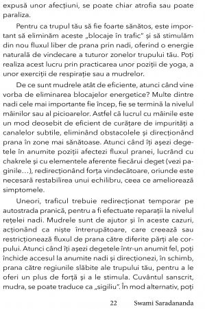 O viata Moderna prin Mudre de Swami Saradananda [10]