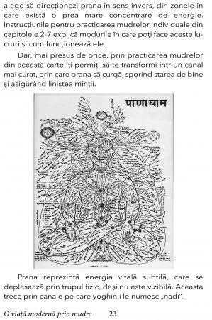 O viata Moderna prin Mudre de Swami Saradananda [11]