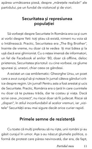 Partidul meu de Iulian Andrei Sobachi [7]