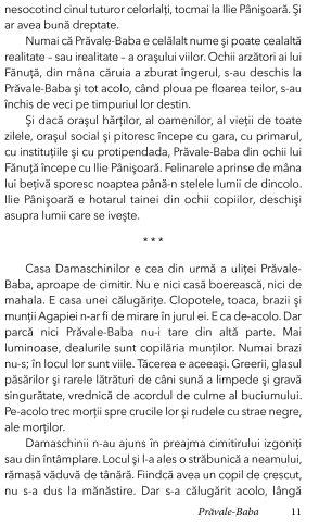 Prăvale-Baba – Ionel Teodoreanu – Editura Prestige [5]
