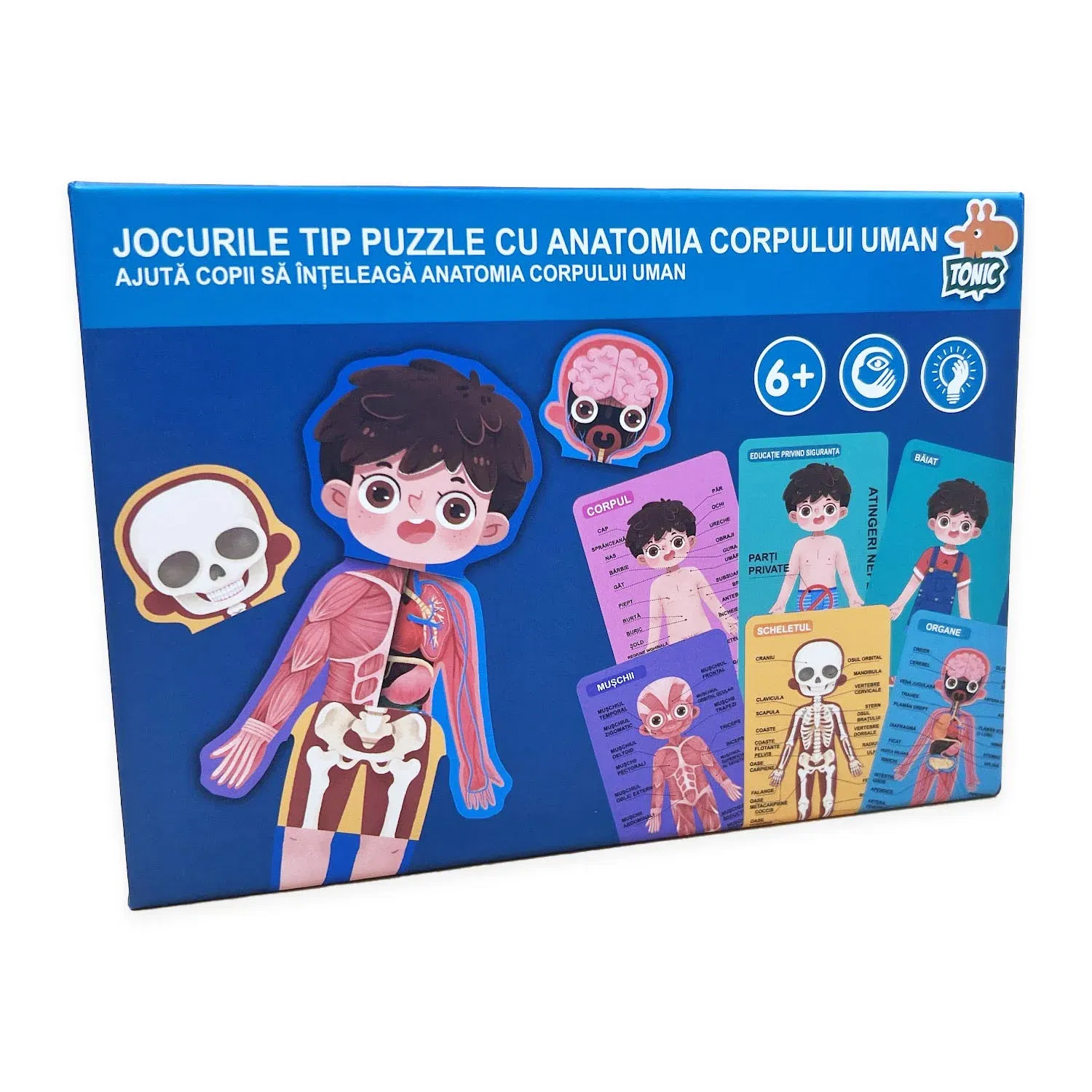 Jocuri - Puzzle din lemn, Anatomia Corpul uman baieti