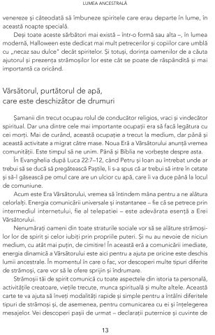 Raspunsuri de pe taramurile ancestrale de Sharon Anne Klingler [7]