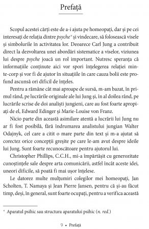 Simboluri si vise in homeopatie. Dimensiunile arhetipale ale vindecarii de Jane Cicchetti [3]