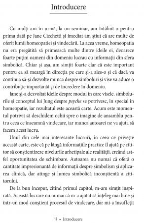 Simboluri si vise in homeopatie. Dimensiunile arhetipale ale vindecarii de Jane Cicchetti [5]