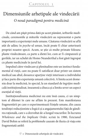 Simboluri si vise in homeopatie. Dimensiunile arhetipale ale vindecarii de Jane Cicchetti [9]