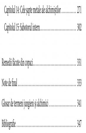 Simboluri si vise in homeopatie. Dimensiunile arhetipale ale vindecarii de Jane Cicchetti [2]
