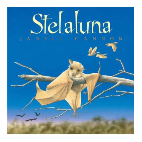 Literatura Universala - Stelaluna de Janell Cannon