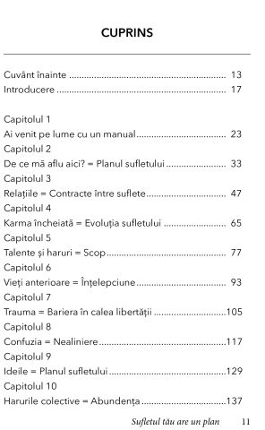 Sufletul tau are un plan de Lisa Barnett [1]