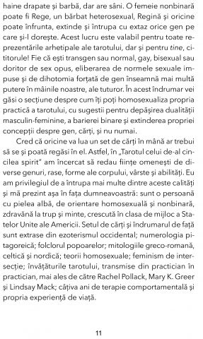 Tarotul celui de-al cincilea spirit de Charlie Claire Burgess [14]