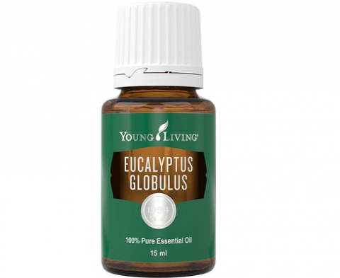 Uleiuri Esentiale - Ulei Esential EUCALYPTUS GLOBULUS 15 ml, Young Living