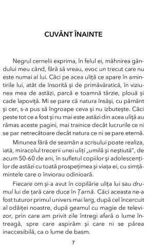 Ulita copilariei de Ionel Teodoreanu [2]