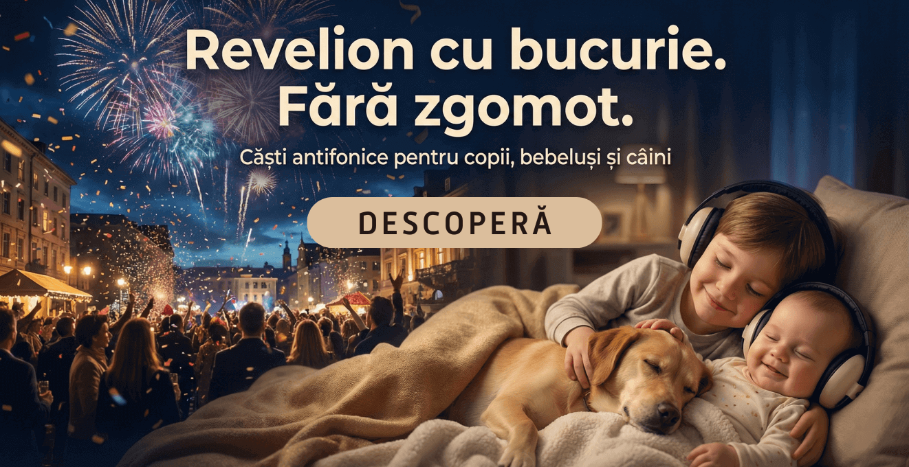Protectie Fonica pentru Revelion 2026