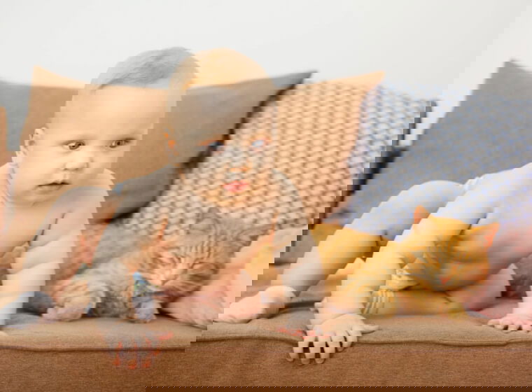 bebe care sta la marginea patului aproape sa cada din pat si in spate este o pisica