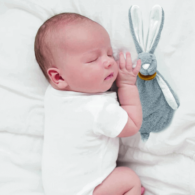 Partener de somn pentru bebe