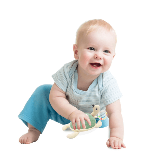 Jucarie zornaitoare BabyJem