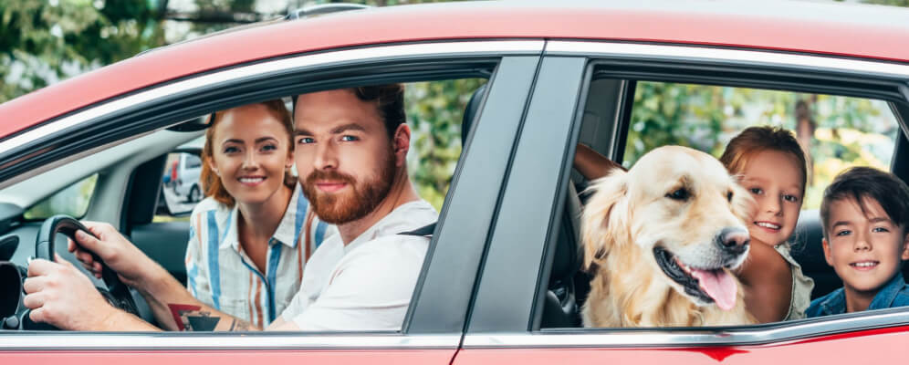 familie in masina, vazuta in lateral, in fata sunt mama si tata si in spate copiii cu un catel