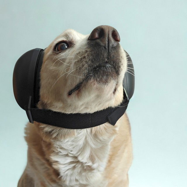 Antifoane protectie auz animale, dimensiune M, Negru [2]