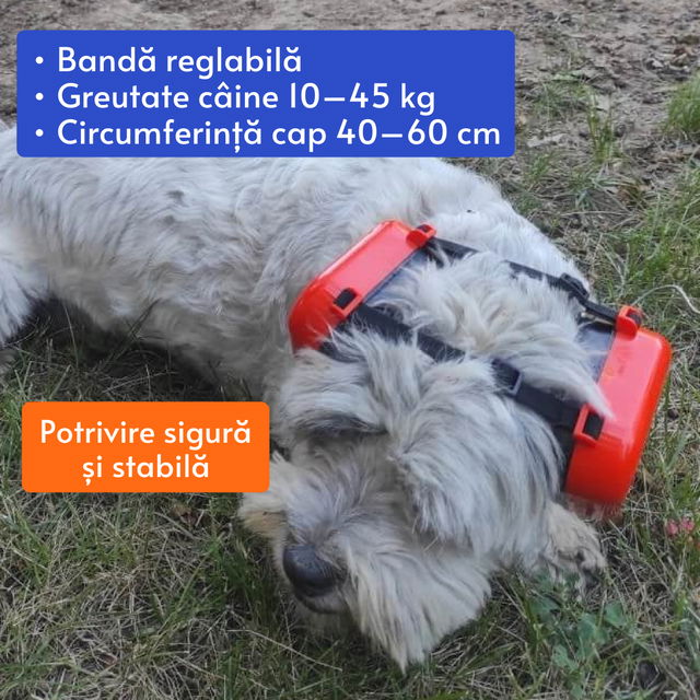 Casti antifonice pentru caini, talie medie si mare, Empria, Diverse culori [5]