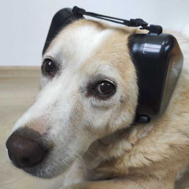 Casti antifonice pentru caini, talie medie si mare, Empria, Negru [12]