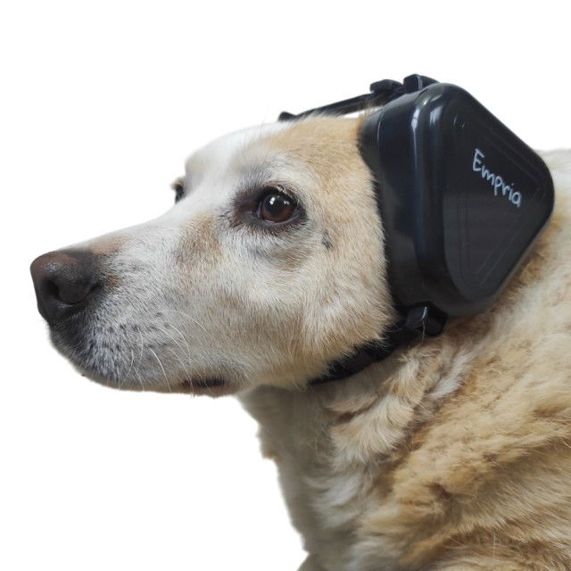Casti antifonice pentru caini, talie medie si mare, Empria, Negru [26]