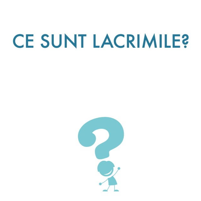 Joc educativ Ce este... ? [3]