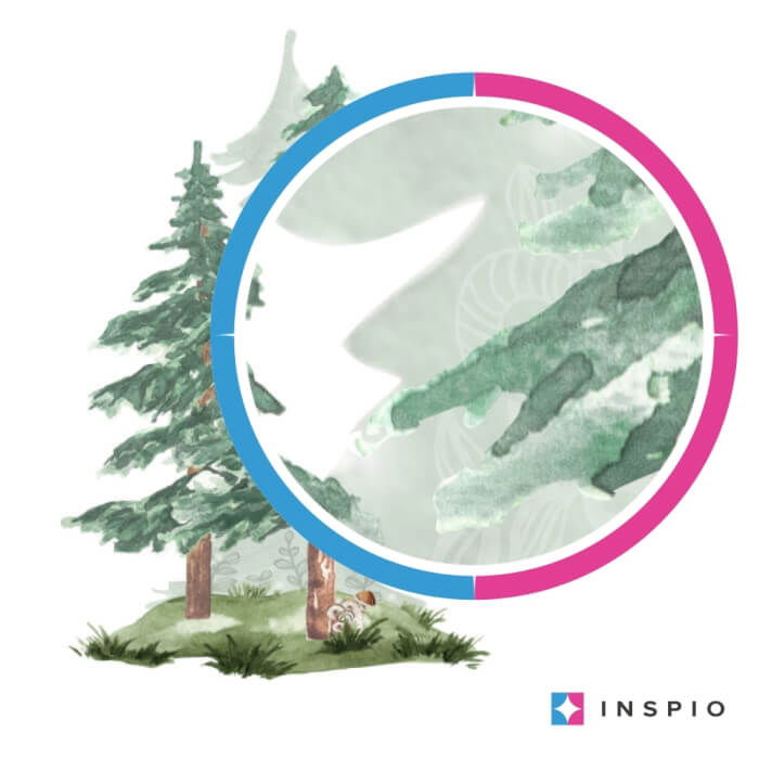 Copaci coniferi - autocolante in acuarela pentru perete, verde [3]