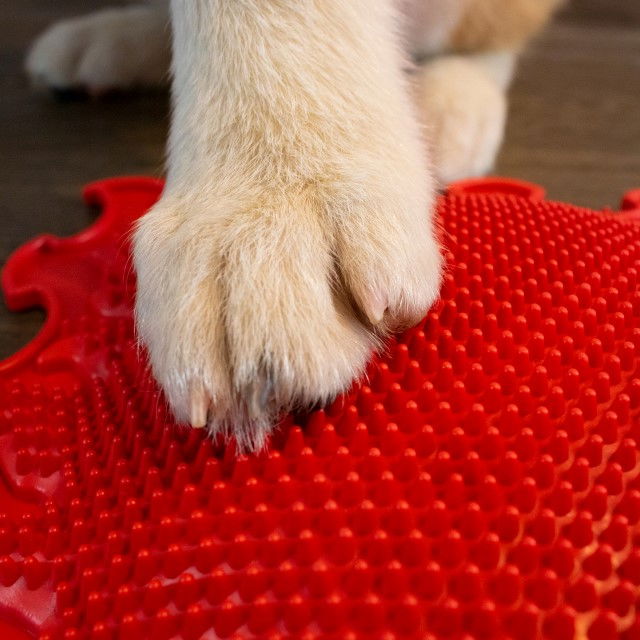 Covoras ortopedic pentru masaj, 1 piesa, model Shining Sun, Rosu [4]