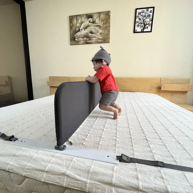 Despartitor pentru pat, 189x26 cm, Gri inchis [13]