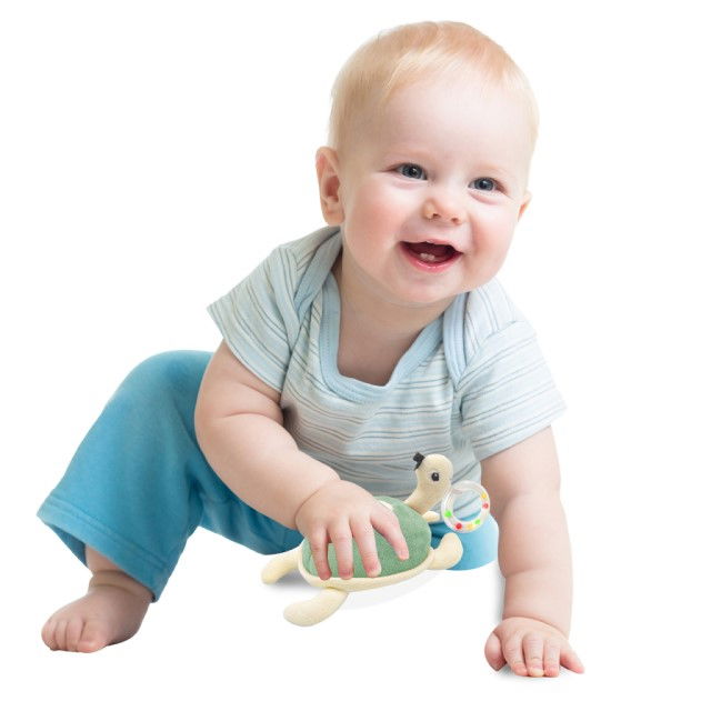 Jucarie zornaitoare BabyJem, Broscuta testoasa din plus, +3 luni, Verde [1]