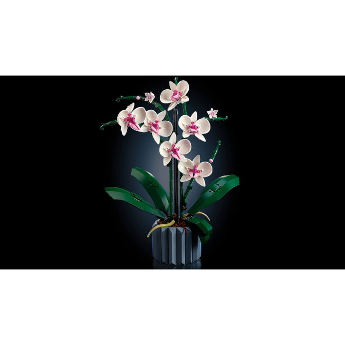  LEGO®  Icons (Creator Expert) - Orhidee﻿ (10311), 608 piese [10]