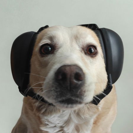 Antifoane protectie auz animale, dimensiune M, Negru [2]