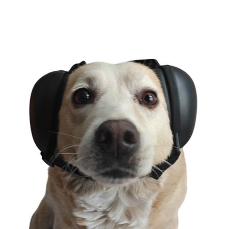 Antifoane protectie auz animale, dimensiune M, Negru [6]