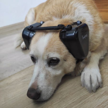 Casti antifonice pentru caini, talie medie si mare, Empria, Negru [12]