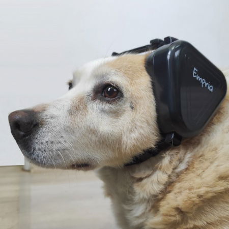 Casti antifonice pentru caini, talie medie si mare, Empria, Negru [15]