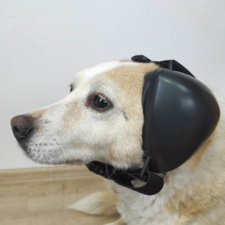 Casti antifonice pentru catei, protectie auz animale, dimensiune L, Negru [11]