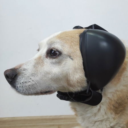 Casti antifonice pentru catei, protectie auz animale, dimensiune L, Negru [5]