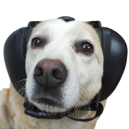 Casti antifonice pentru catei, protectie auz animale, dimensiune L, Negru [18]